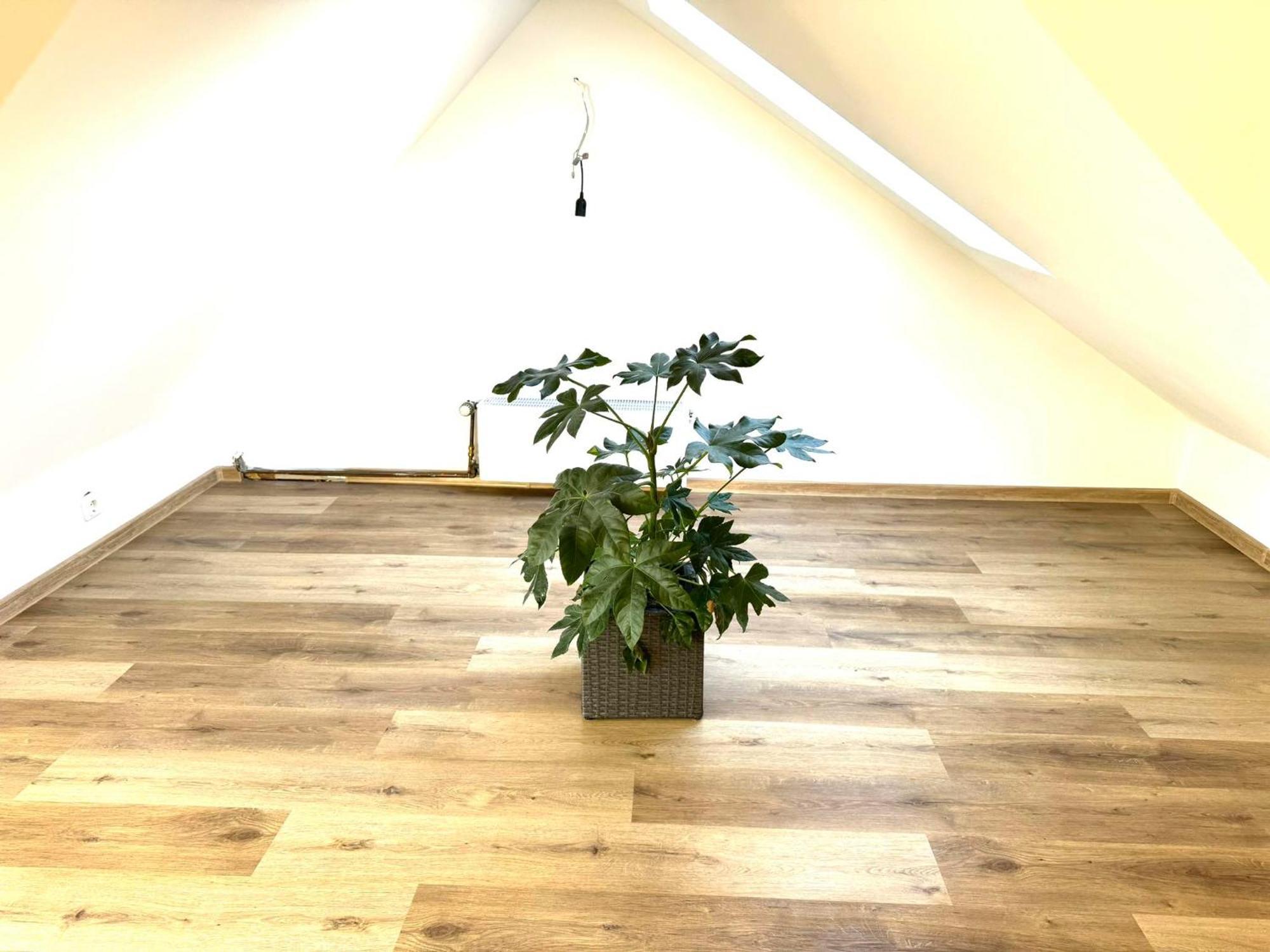 Ferienhaus Dierdorf Kültér fotó